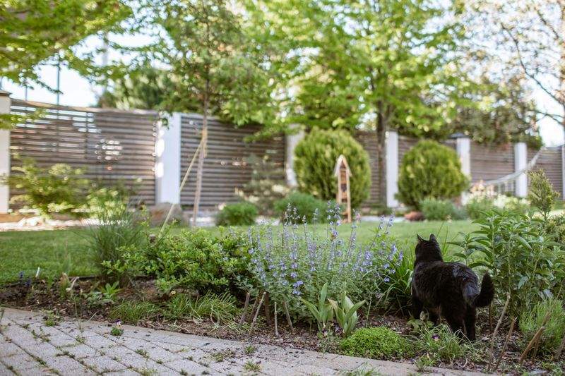 Jardins & Harmonie Paysage 1