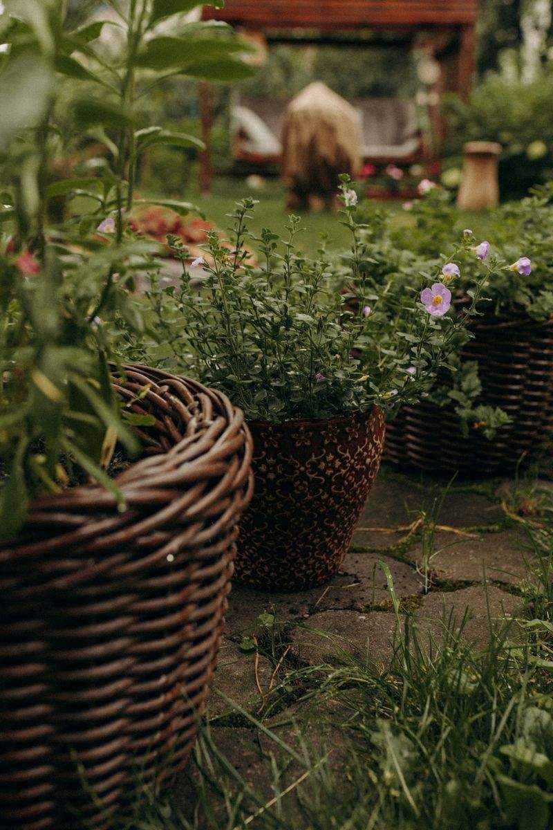 Création et remise en état de jardins privés